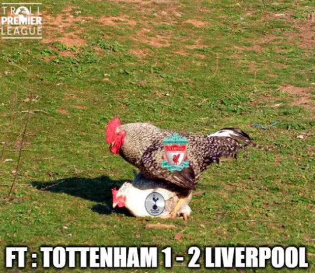 球队进攻空间拉满，对手无解